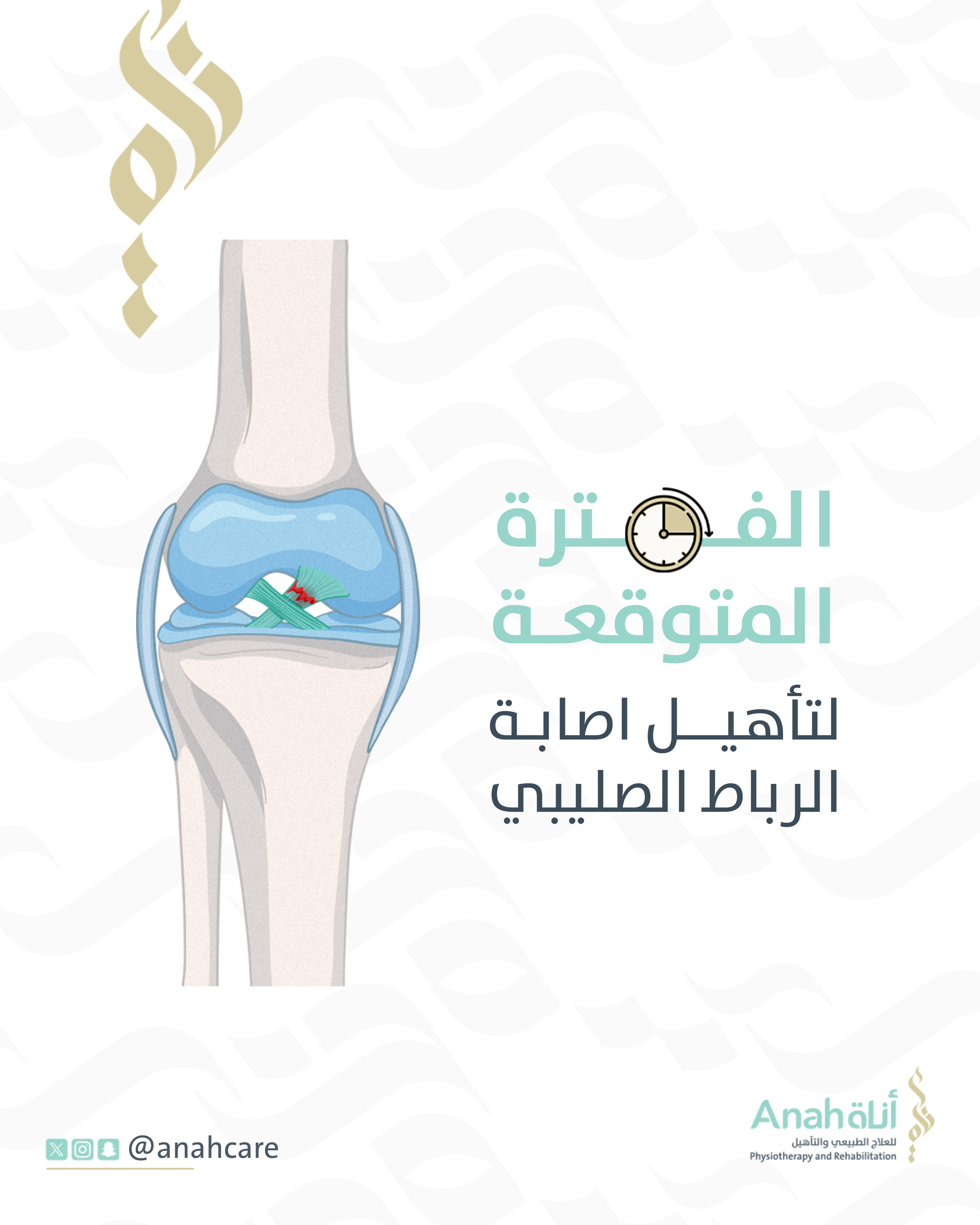 الفترة المتوقعه لتأهيل الرباط الصليبي Image